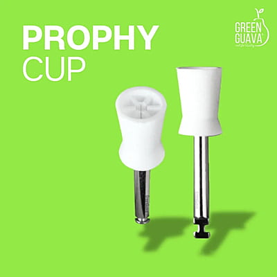 Prophy Cup